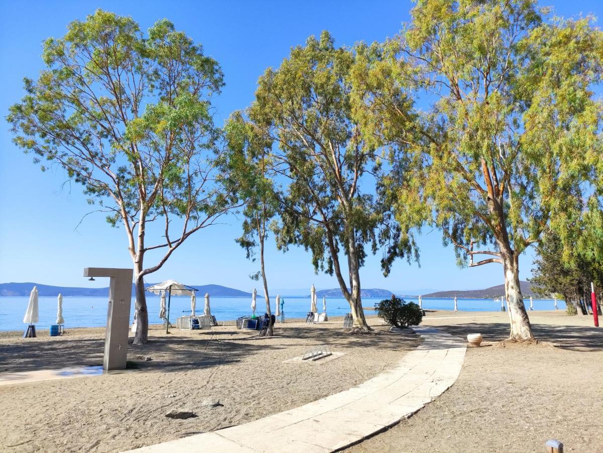 Porto Hydra - Villa Mirani Ermióni Kültér fotó
