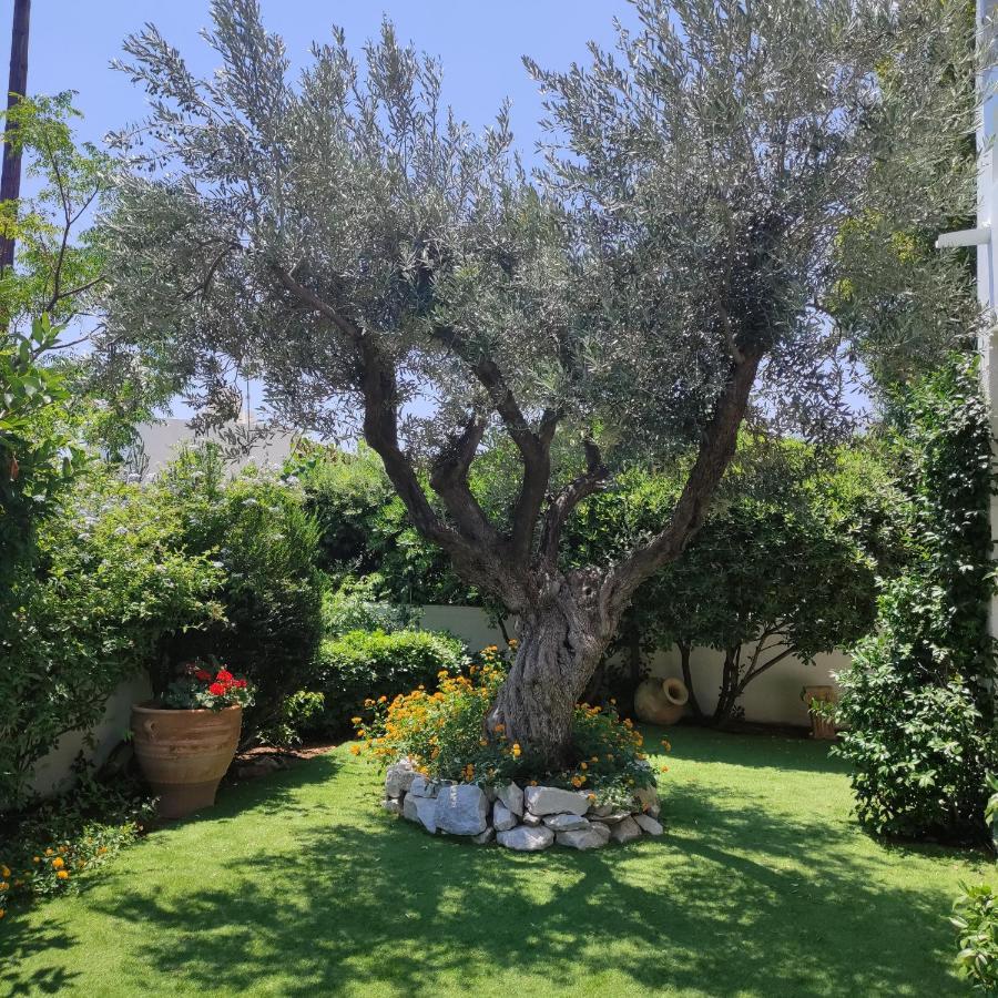 Porto Hydra - Villa Mirani Ermióni Kültér fotó
