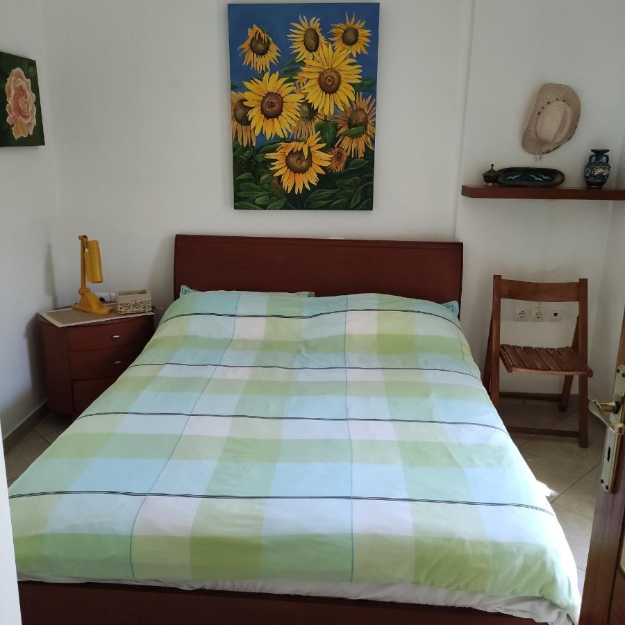 Porto Hydra - Villa Mirani Ermióni Kültér fotó